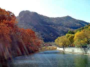 管家婆黑白马报图库，夺命小龙虾